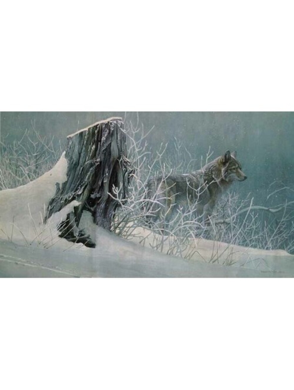 Robert Bateman Signed Print Winter Trackers Coyote Custom Framed 4190/452